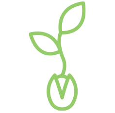 Native Plant and
Seed Production